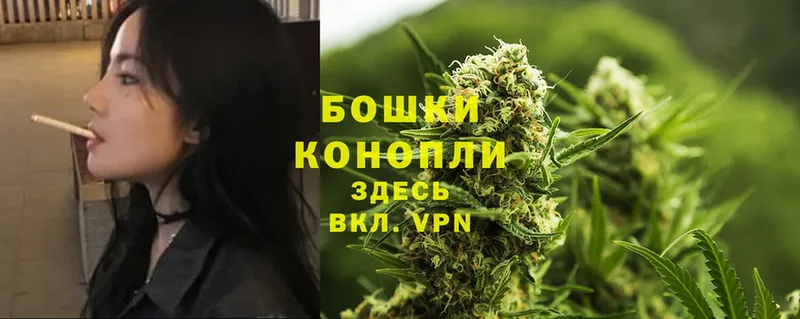 где найти наркотики  Бокситогорск  Бошки Шишки Ganja 